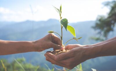 environmental conservation in the garden for children.