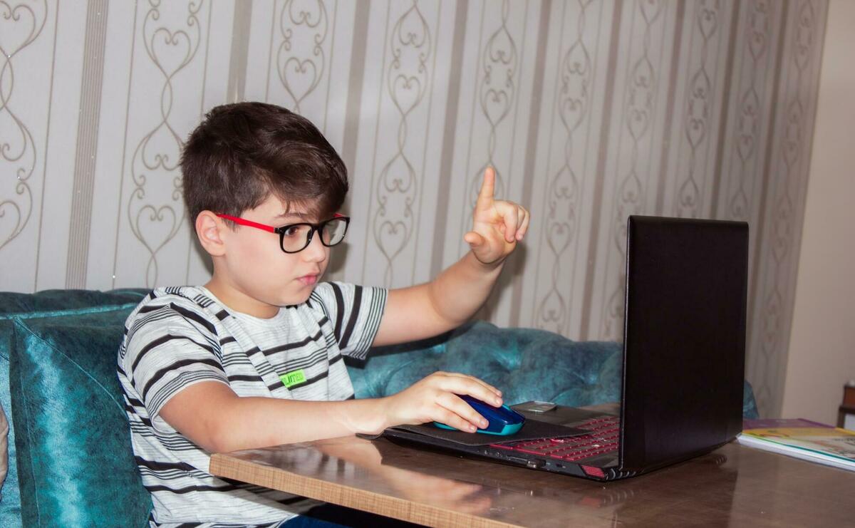 A child receives distance education via the Internet.